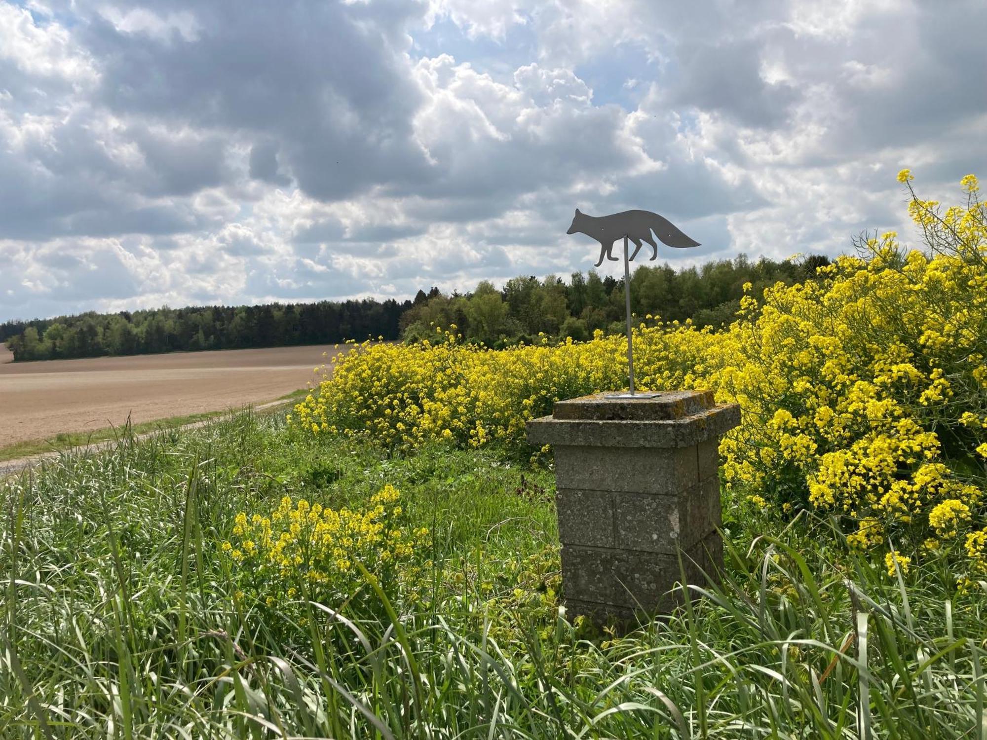 "Aux Chants Des Oiseaux" Domaine De La Renardiere Les Grandes-Loges Esterno foto