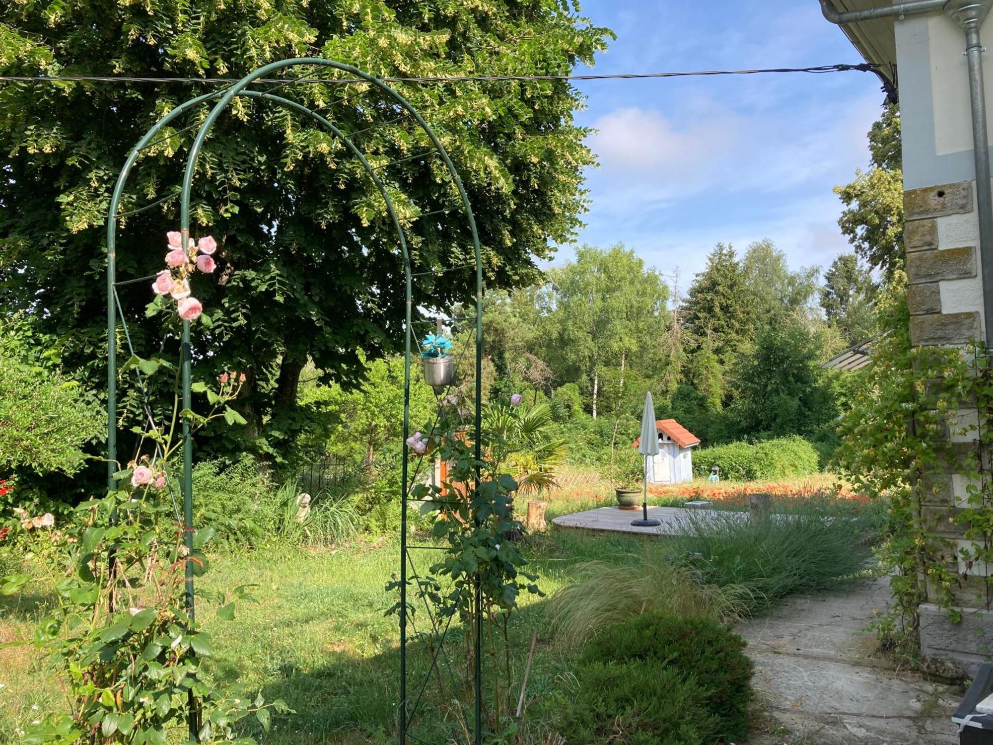 "Aux Chants Des Oiseaux" Domaine De La Renardiere Les Grandes-Loges Esterno foto