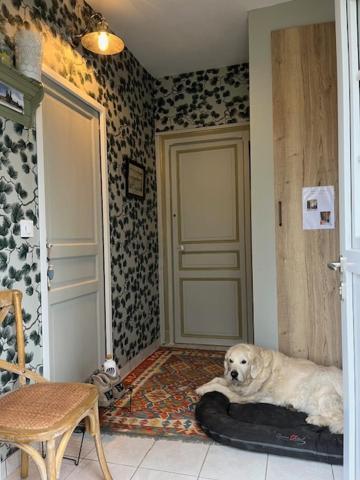 "Aux Chants Des Oiseaux" Domaine De La Renardiere Les Grandes-Loges Esterno foto